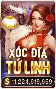 icon-xocdiatulinh